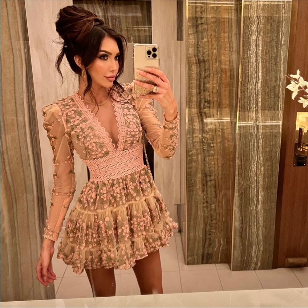 NWOT Bronx And Banco Megan mini dress long sleeves embroidered lace, mesh